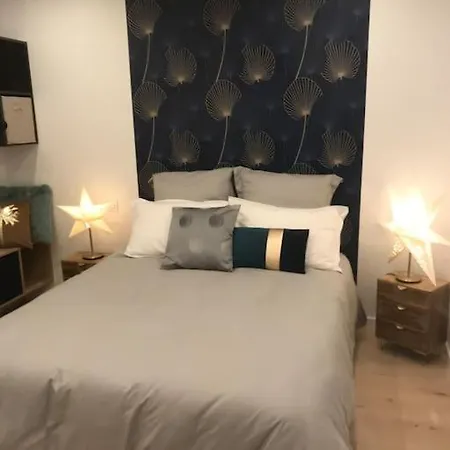 Apartment Magnifique Centre-ville Le Jouvence Dijon